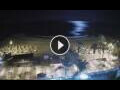 Webcam Playa de las Americas (Teneriffa)