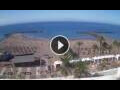 Webcam Playa de las Americas (Tenerife)