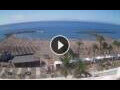 Webcam Playa de las Americas (Tenerife)