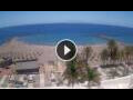 Webcam Playa de las Americas (Tenerife)