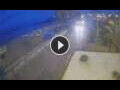Webcam Costa Adeje (Tenerife)