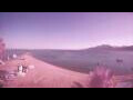 Webcam Dahab