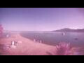 Webcam Dahab