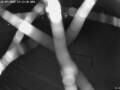 Webcam Forchheim