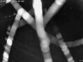 Webcam Forchheim