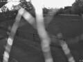 Webcam Forchheim