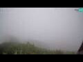 Webcam Bohinj