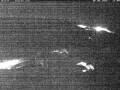 Webcam Wacken