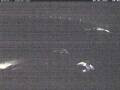 Webcam Wacken