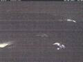 Webcam Wacken