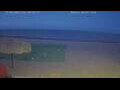 Webcam El Gouna