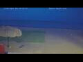 Webcam El Gouna