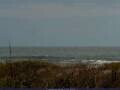 Webcam Cape Canaveral, Florida