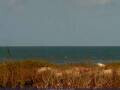 Webcam Cape Canaveral, Florida