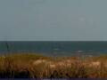 Webcam Cape Canaveral, Florida
