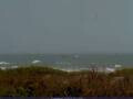 Webcam Cape Canaveral, Florida