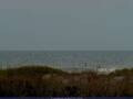 Webcam Cape Canaveral, Florida