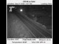 Webcam Adel, Oregon