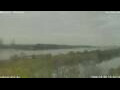 Webcam Antwerpen