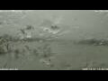 Webcam Anversa