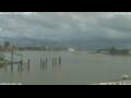 Webcam Antwerp