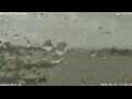 Webcam Antwerpen