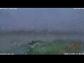 Webcam Antwerp