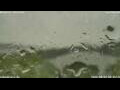 Webcam Antwerpen