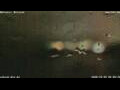 Webcam Antwerp