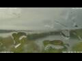 Webcam Antwerp