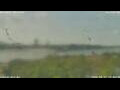 Webcam Antwerpen