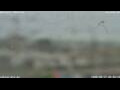 Webcam Antwerpen