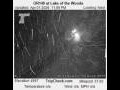 Webcam Lake of the Woods, Oregon