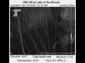 Webcam Lake of the Woods, Oregon