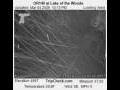 Webcam Lake of the Woods, Oregon