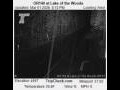Webcam Lake of the Woods, Oregon