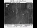 Webcam Lake of the Woods, Oregon