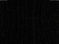 Webcam Karlshagen