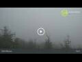 Webcam Dolni Morava