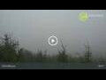 Webcam Dolni Morava