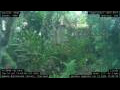 Webcam Nakhon Ratchasima (Korat)