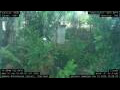 Webcam Nakhon Ratchasima (Korat)