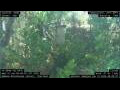 Webcam Nakhon Ratchasima (Korat)