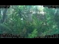 Webcam Nakhon Ratchasima (Korat)