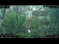 Webcam Nakhon Ratchasima (Korat)
