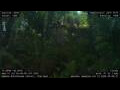 Webcam Nakhon Ratchasima (Korat)