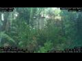 Webcam Nakhon Ratchasima (Korat)