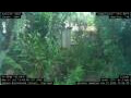 Webcam Nakhon Ratchasima (Korat)