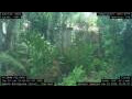 Webcam Nakhon Ratchasima (Korat)