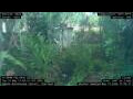 Webcam Nakhon Ratchasima (Korat)